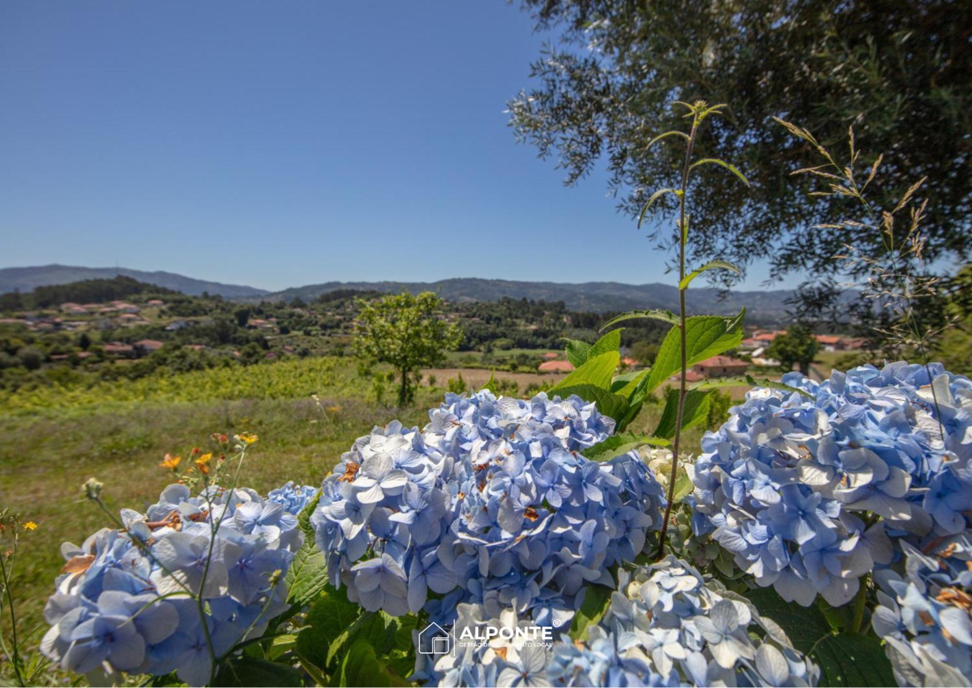 Quinta Da Costeira - Casa Azul Do Limoal By Alponte Villa Arcos de Valdevez Eksteriør bilde