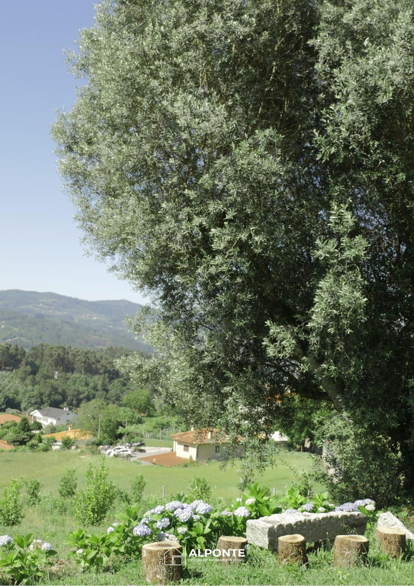 Quinta Da Costeira - Casa Azul Do Limoal By Alponte Villa Arcos de Valdevez Eksteriør bilde