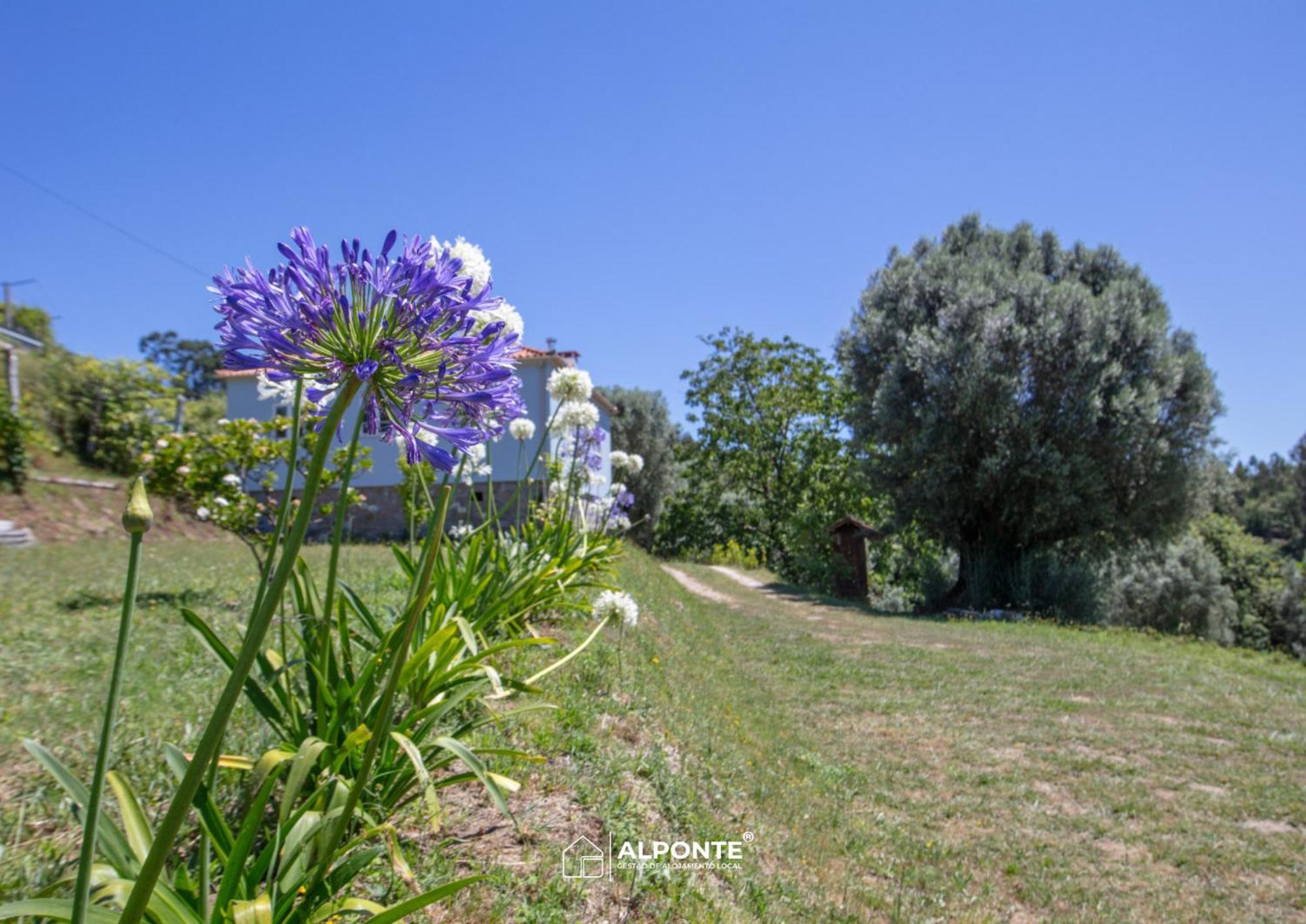 Quinta Da Costeira - Casa Azul Do Limoal By Alponte Villa Arcos de Valdevez Eksteriør bilde