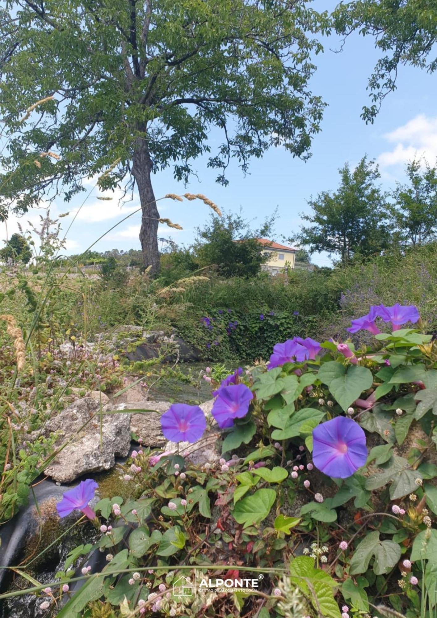 Quinta Da Costeira - Casa Azul Do Limoal By Alponte Villa Arcos de Valdevez Eksteriør bilde
